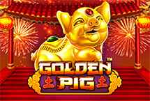 GOLDEN PIG